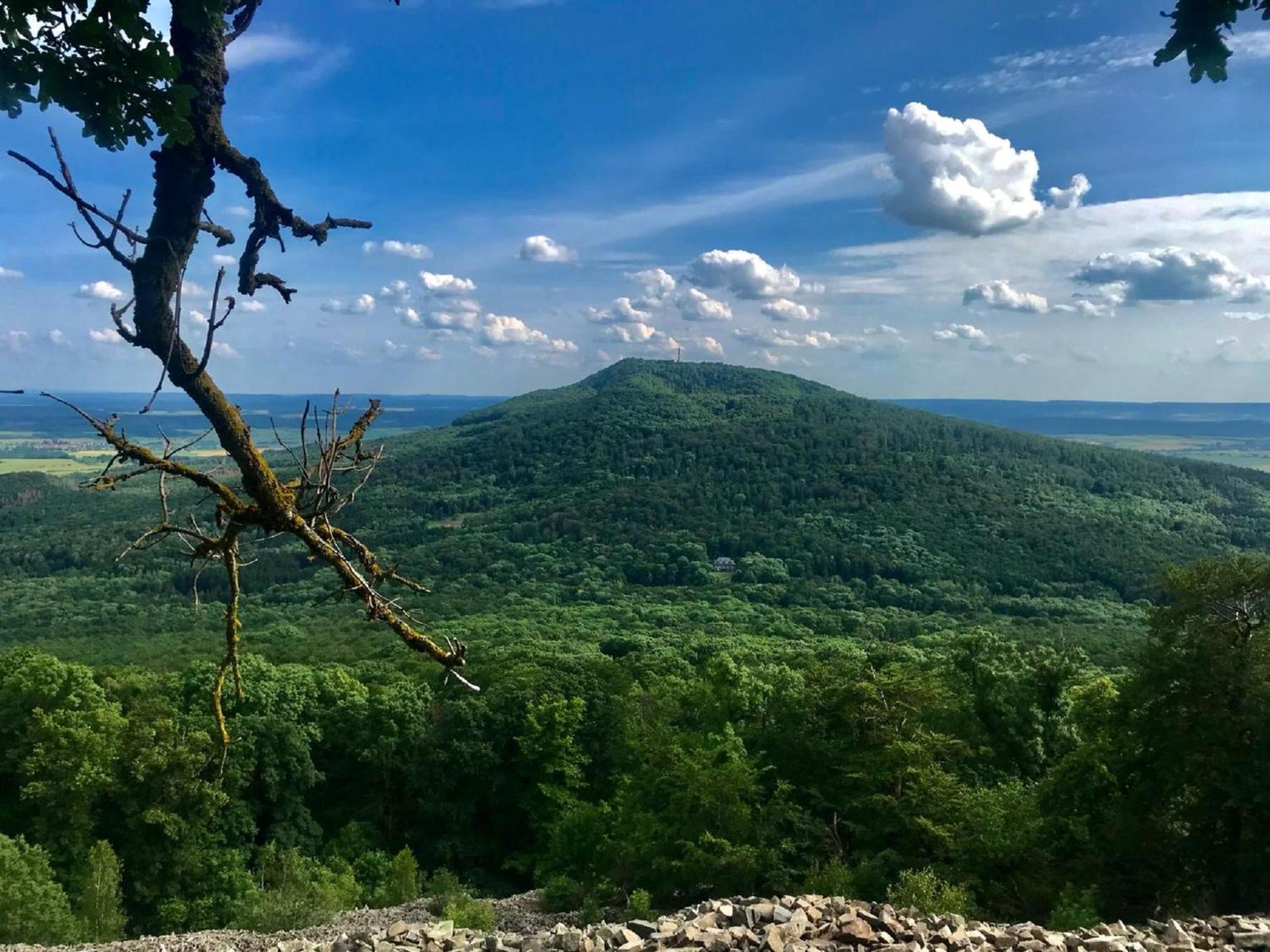 Ferienwohnungen Goja Bad Königshofen im Grabfeld Dış mekan fotoğraf