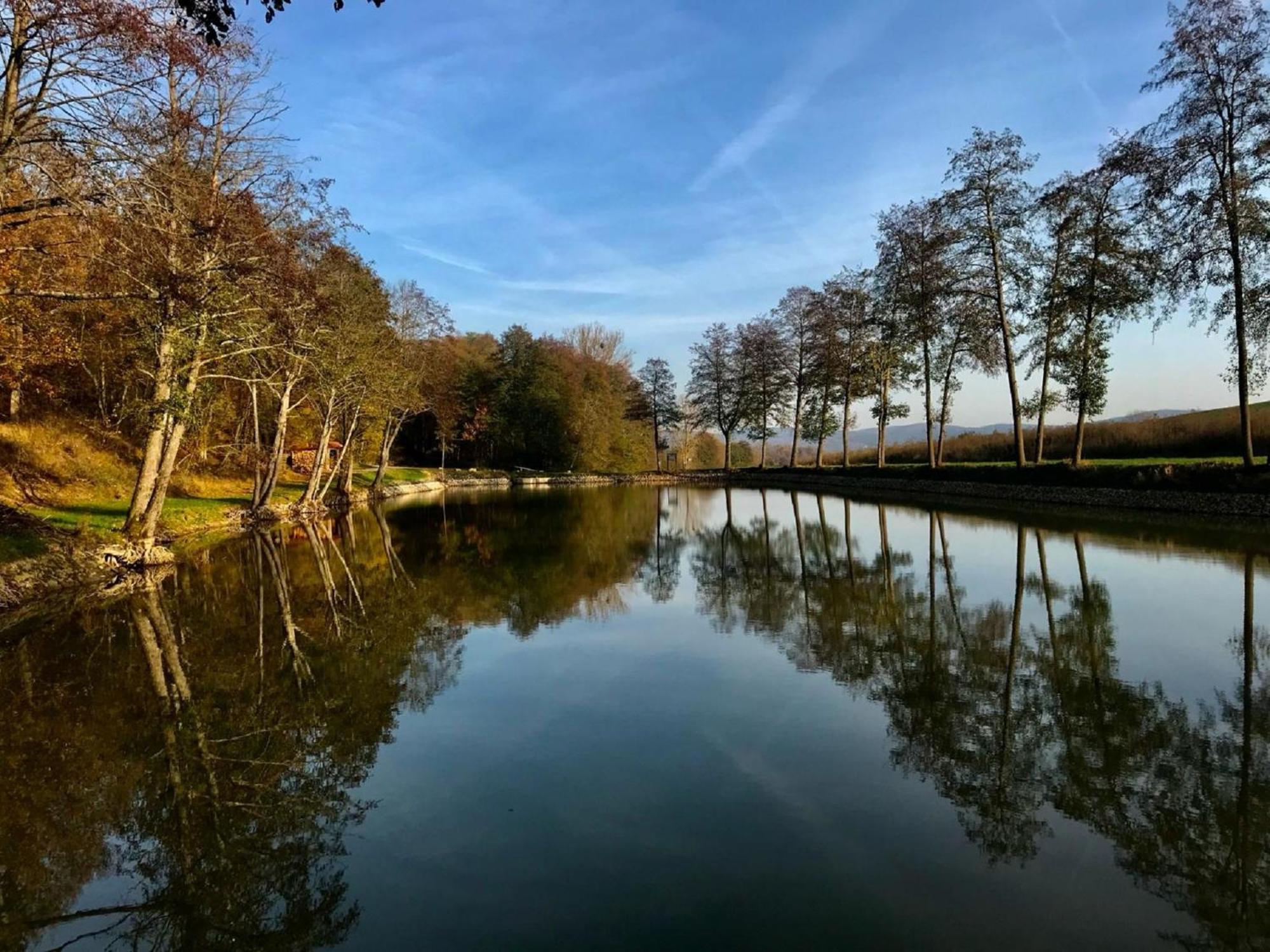 Ferienwohnungen Goja Bad Königshofen im Grabfeld Dış mekan fotoğraf